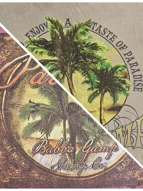 Lot 2 Men XL Bubba Gump Shrimp Co Cancun MX Kona HI Collectors Tshirt Y2K Forest